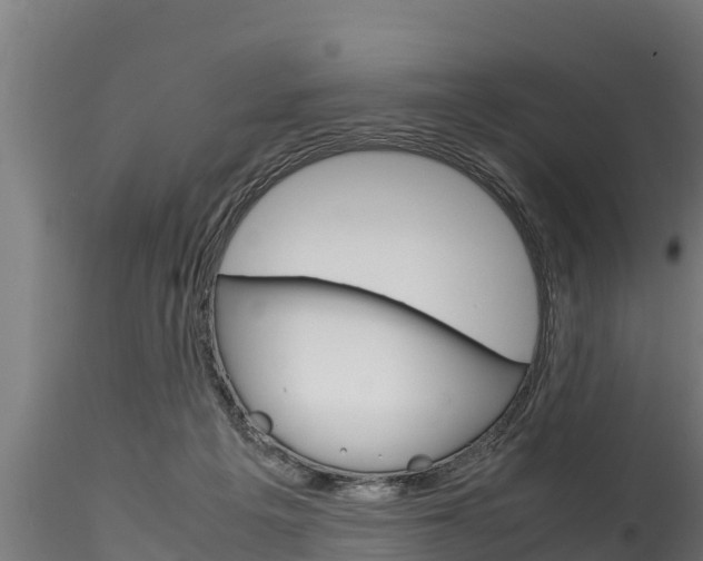 X0000116270217200911301024