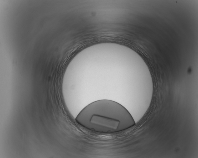 X0000116270219200911301024