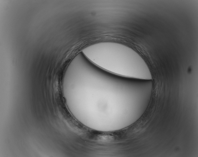 X0000116270220200911301024