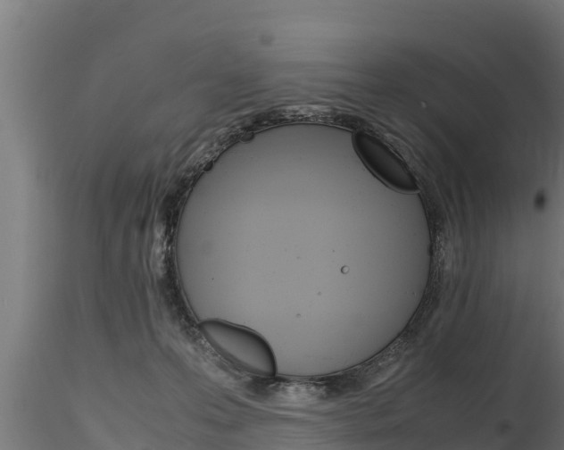 X0000116270223200911301024