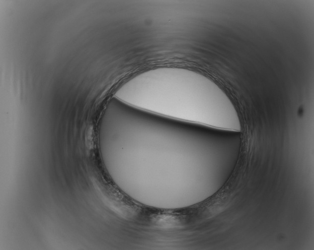 X0000116270224200911301024