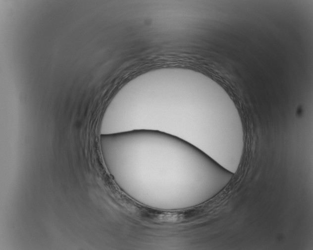 X0000116270225200911301024