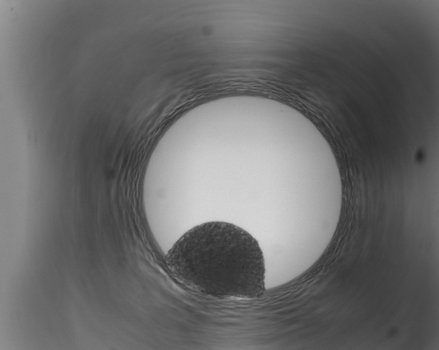 X0000116270227200911301024