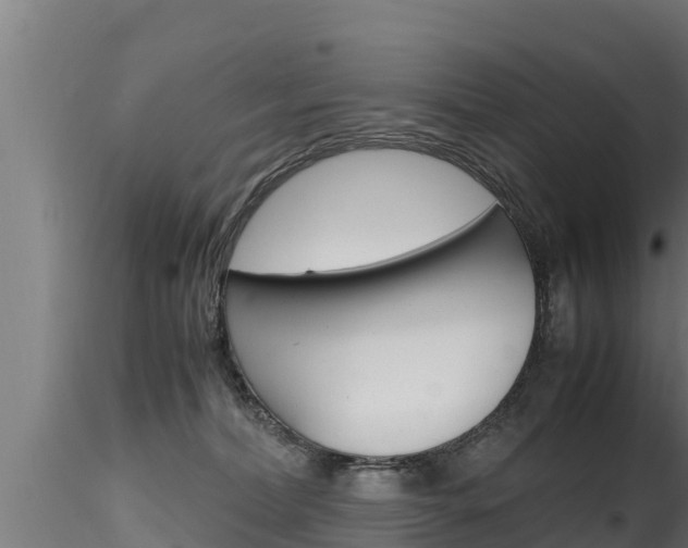 X0000116270228200911301024