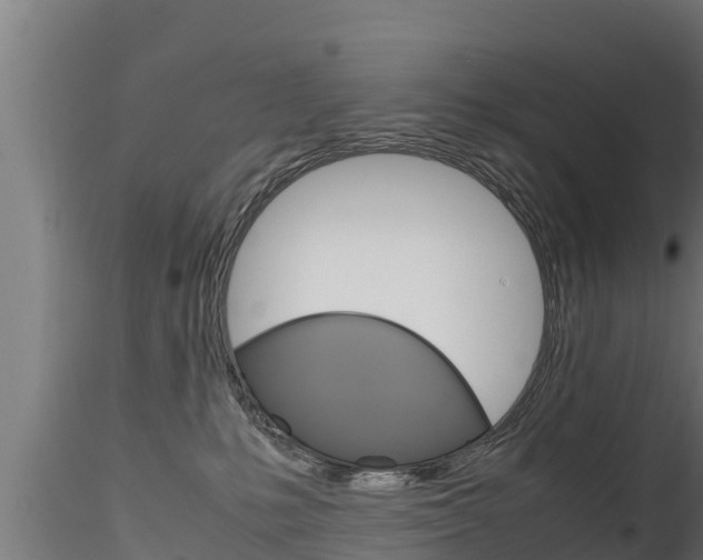X0000116270231200911301024