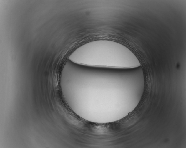 X0000116270232200911301024