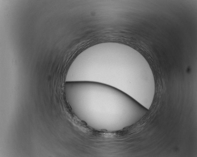 X0000116270233200911301024