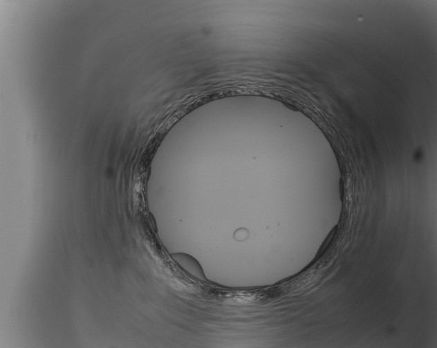 X0000116270235200911301024