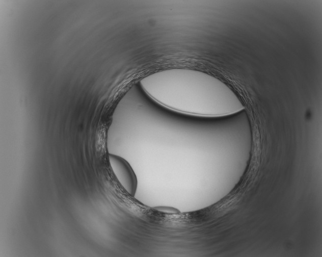 X0000116270240200911301024