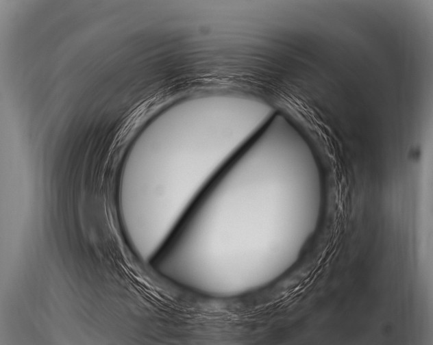 X0000116270241200911301023