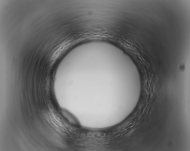 X0000116270242200911301023