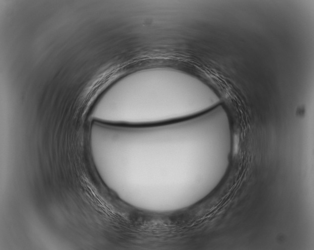 X0000116270243200911301023