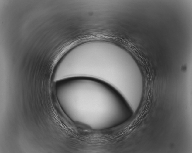 X0000116270244200911301023