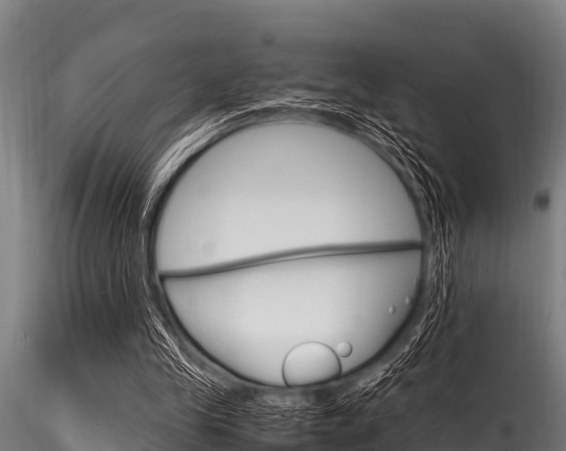 X0000116270245200911301023