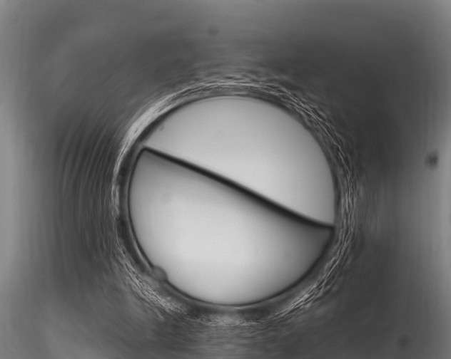 X0000116270246200911301023