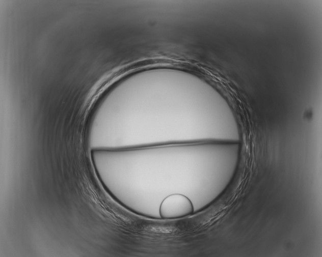 X0000116270247200911301023