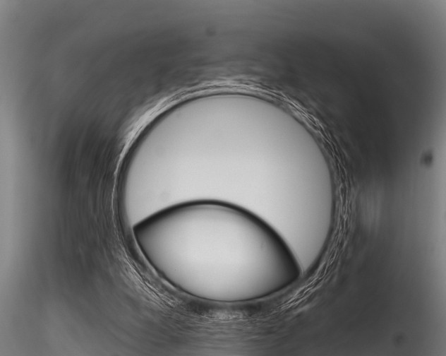 X0000116270248200911301023