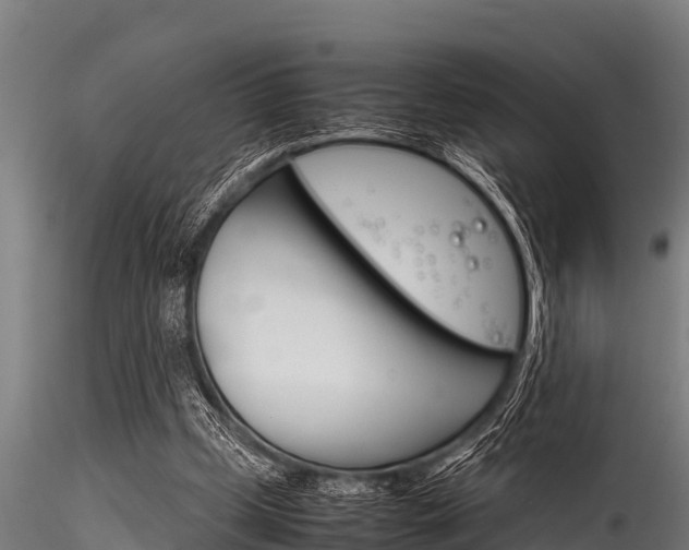 X0000116270249200911301023