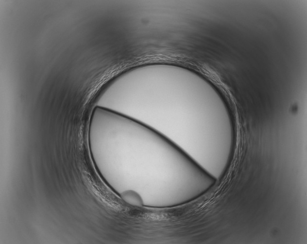 X0000116270250200911301023