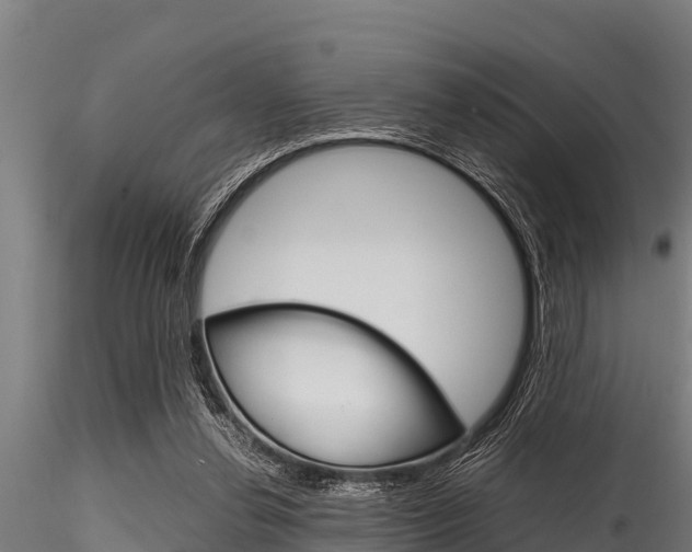 X0000116270252200911301023