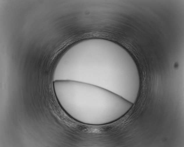 X0000116270254200911301023