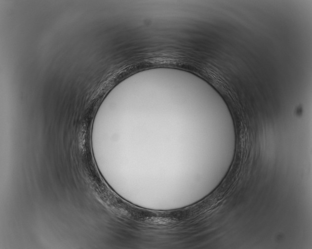 X0000116270255200911301023