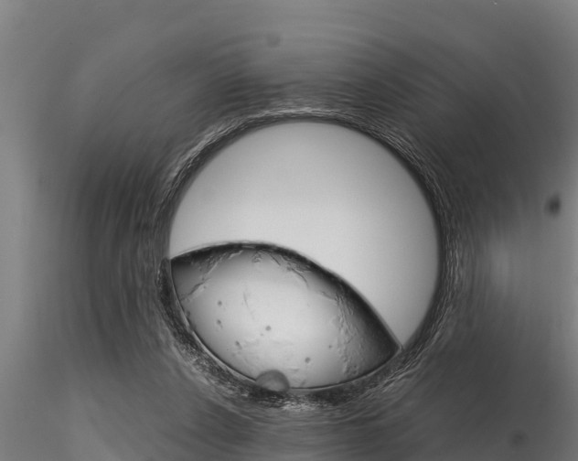 X0000116270256200911301023