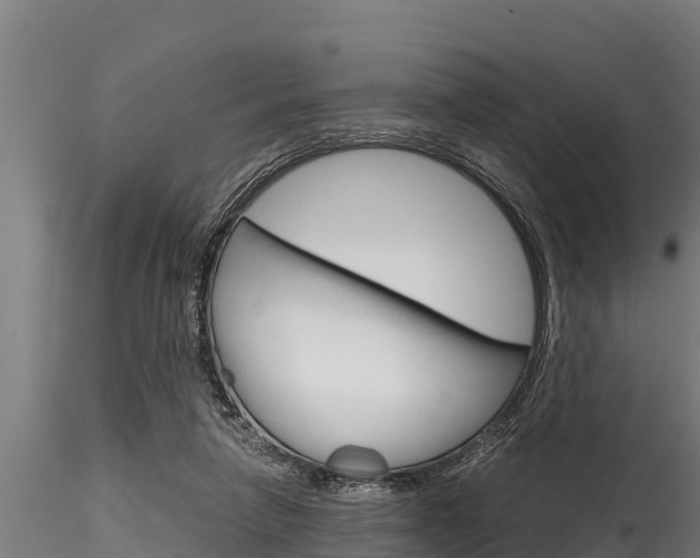 X0000116270258200911301023