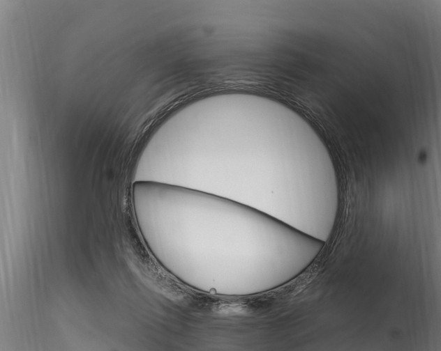 X0000116270262200911301023