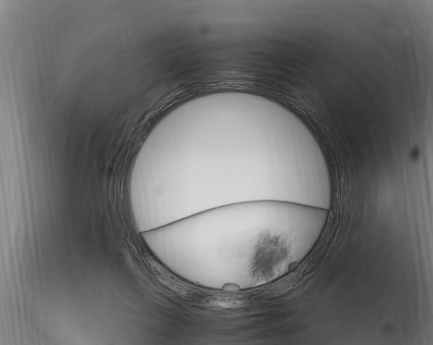 X0000116270263200911301023