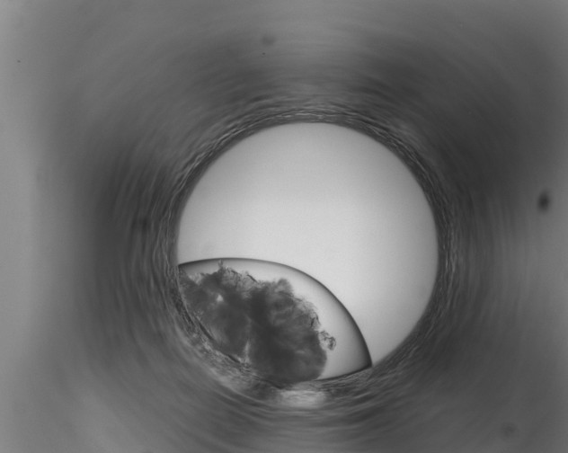 X0000116270266200911301024