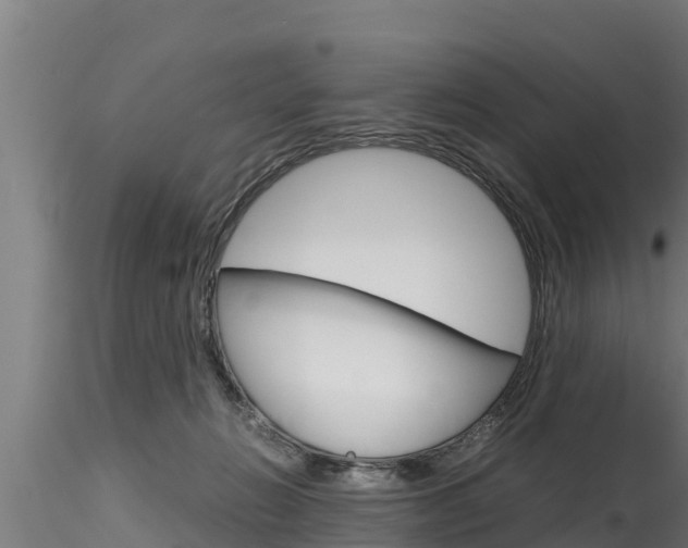 X0000116270270200911301024