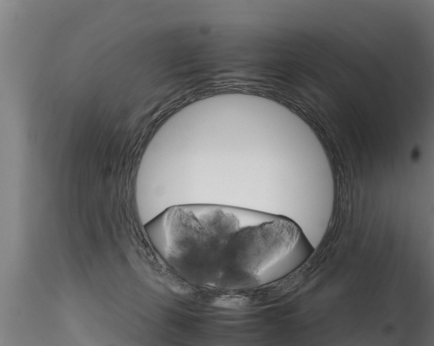 X0000116270271200911301024