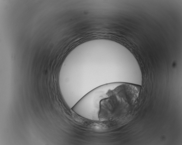 X0000116270275200911301024