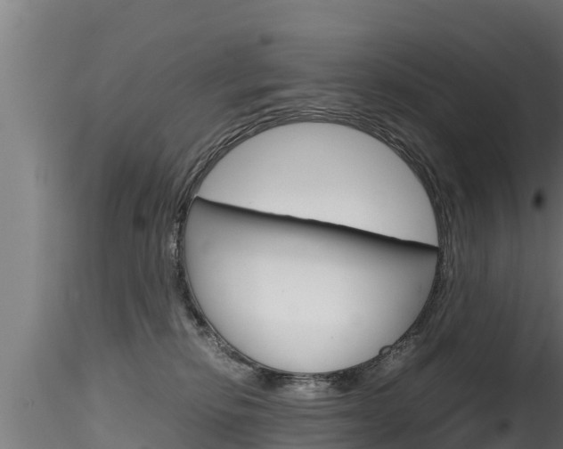 X0000116270278200911301024