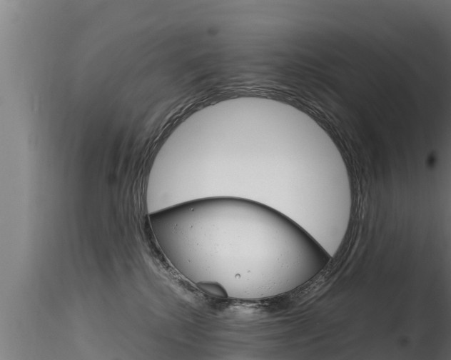 X0000116270280200911301024