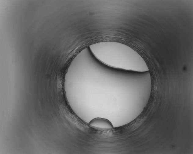 X0000116270282200911301024