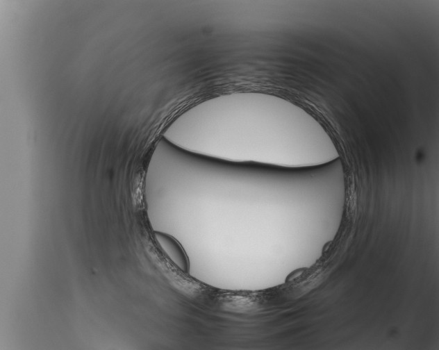 X0000116270285200911301024