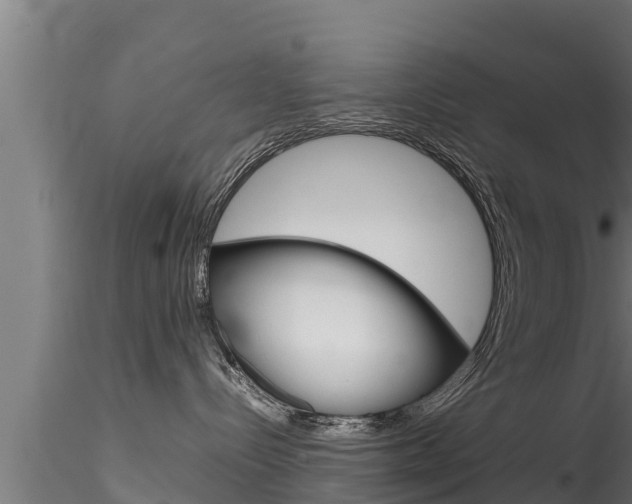 X0000116270288200911301024