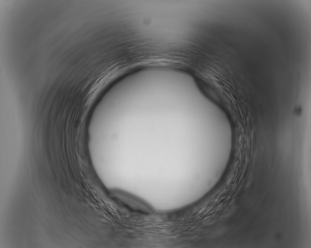 X0000116270289200911301023