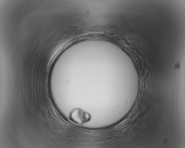 X0000116270293200911301023