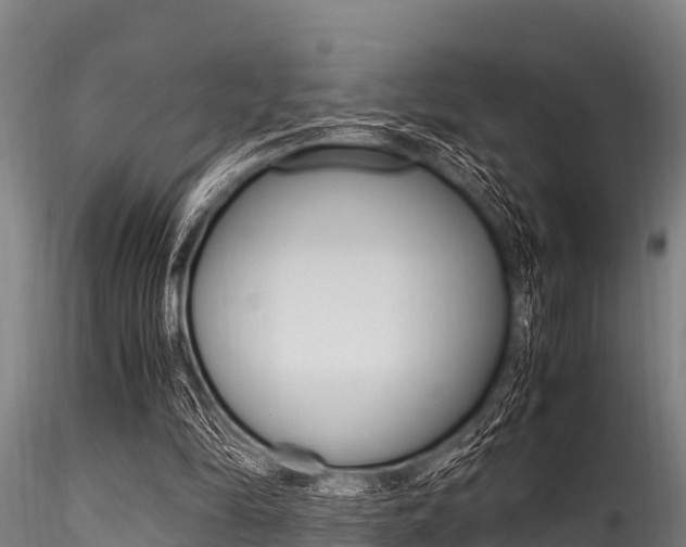 X0000116270294200911301023