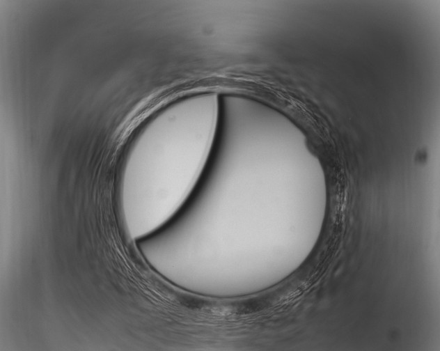 X0000116270295200911301023
