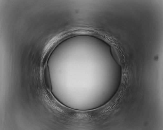 X0000116270296200911301023