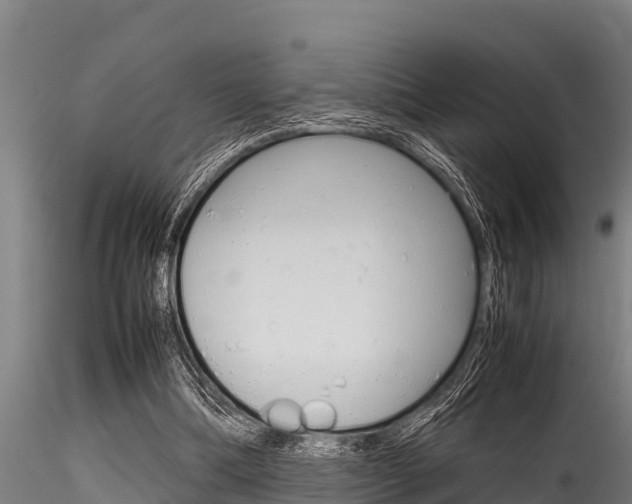 X0000116270298200911301023