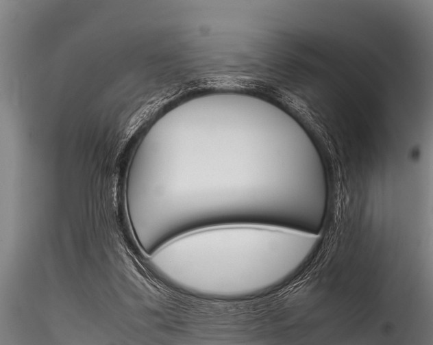 X0000116270299200911301023
