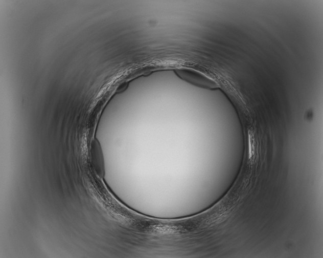 X0000116270300200911301023