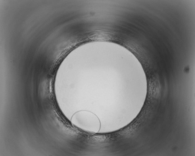 X0000116270302200911301023