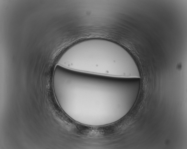 X0000116270303200911301023