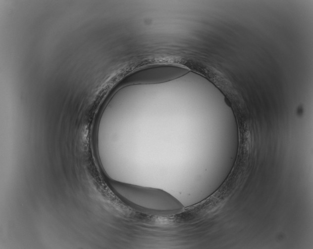 X0000116270308200911301023